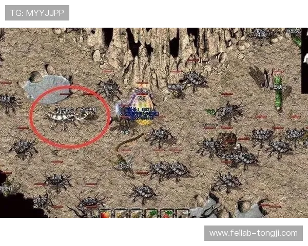 经典录像回放重温巅峰对决与传奇瞬间全景纪实再现荣光与热血记忆长卷 - 副本 (3) - 副本