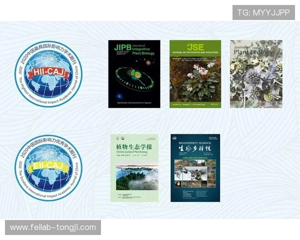 聚焦体育全球赛事格局与未来发展趋势探析及国际影响力提升路径研究 - 副本 (3)